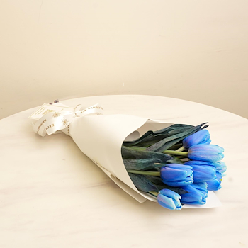 Blue Tulips