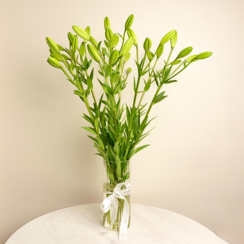 White Lily Vase
