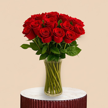 الفازة الأنيقة