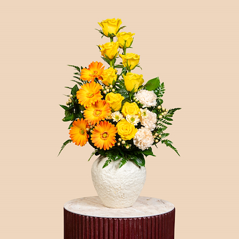 إشراقة مخملية