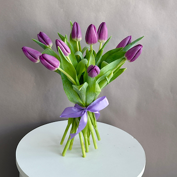 توليب بنفسجي