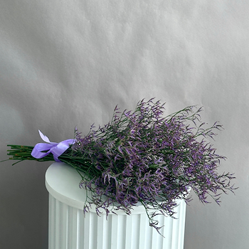 ليمونيوم بنفسجي