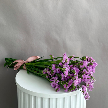 ستاتيس وردي