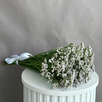 ليمونيوم أبيض