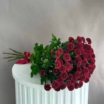 مارون سانتيني