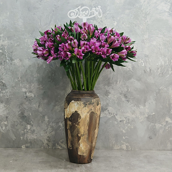 كلاسيك بربل