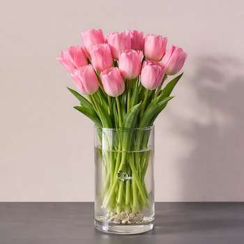 التوليب الوردي