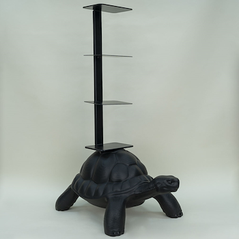 Turtle Shelf