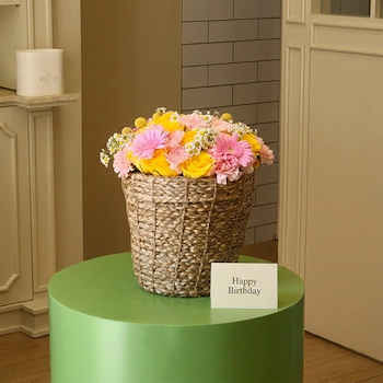 سلة كراسبيديا