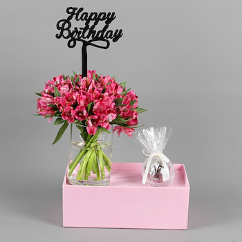 بينك ديلايتس 10