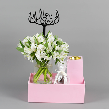 بينك ديلايتس 13