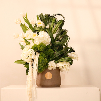 أونداس كلارا