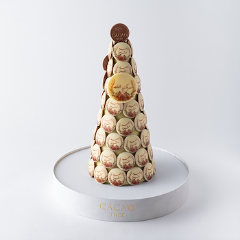 هرم دائري متوسط