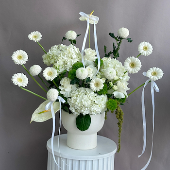 White Whisper Elegance