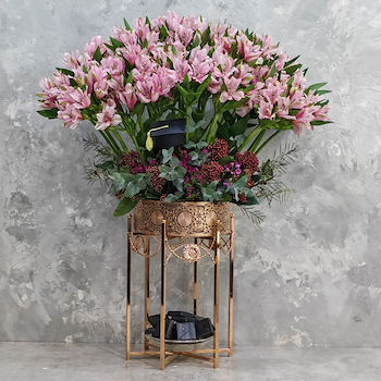 ستاند السترومريا