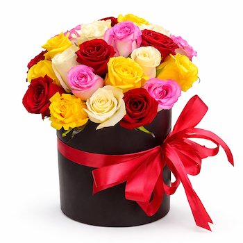 صندوق جوري متنوع