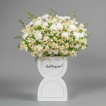 Luxurious Curvy Stand