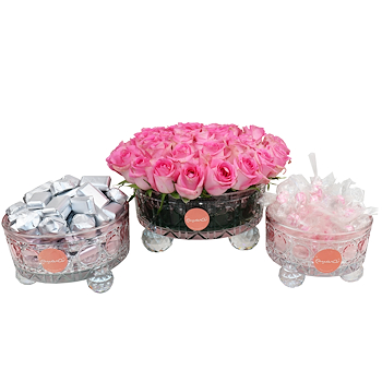 بلومز شوكولاتة 2