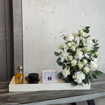 اليجانت قيفت