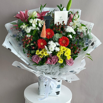 بلوسوم سلبريشن