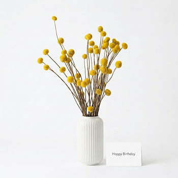 Billy Buttons