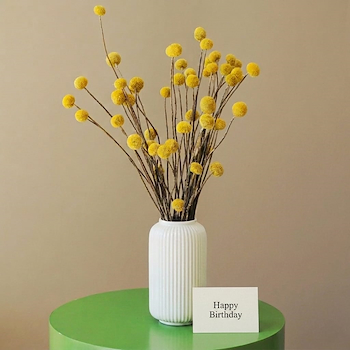 Billy Buttons