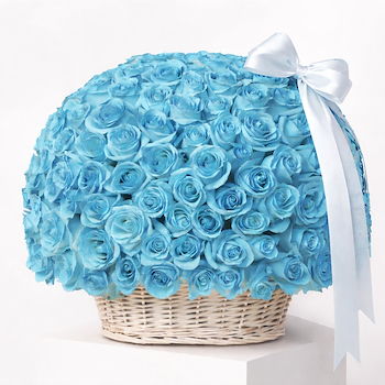 200 جوري ازرق تيفاني