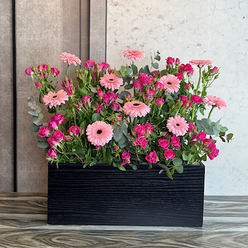 بلومينغ بينك