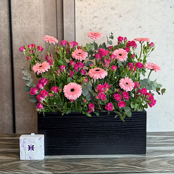 بلومينغ بينك 2