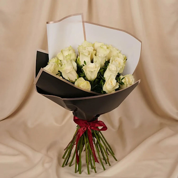 Elegant White Rose