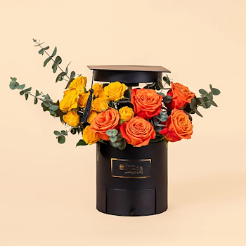 Luxurious Success Celebration