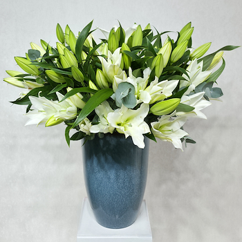 فلورال ايليجانسي