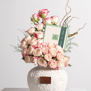 فازة الباتشي