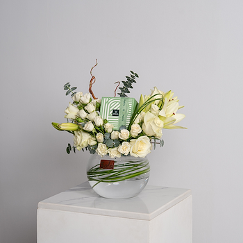 جمال الباتشي