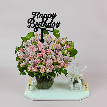 وايت تراي 11