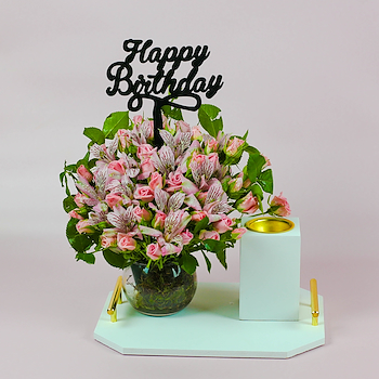 وايت تراي 13