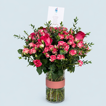 نقاء الجوري