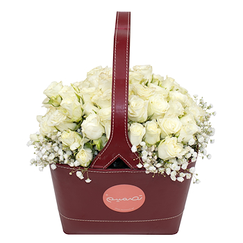 جوري بيضاء كلاسيكية