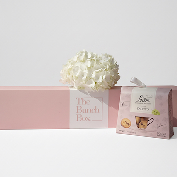 Hydrangea Tea Break Bundle