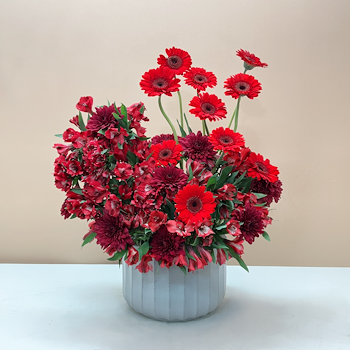 حديقة حمراء أنيقة