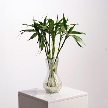 Elegant Bamboo Vase