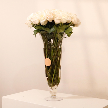 اليجانسيا II