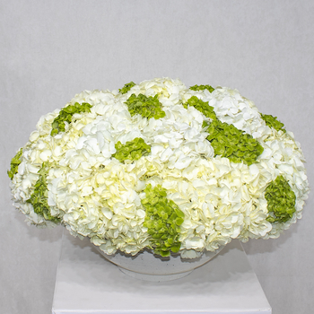 اللمسة الخضراء