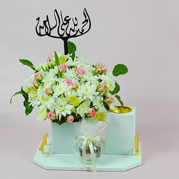 وايت تراي 23