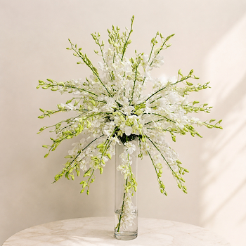 Tree White