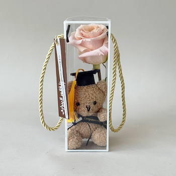 Grad Teddy Box