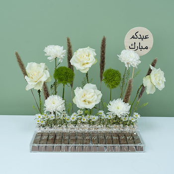 دايان 2