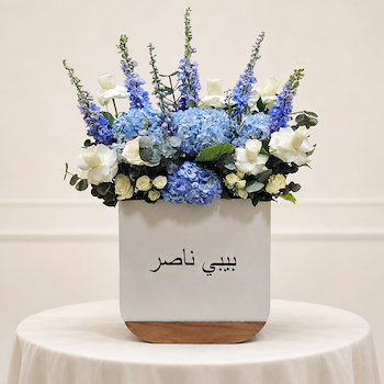 صندوق ناصر