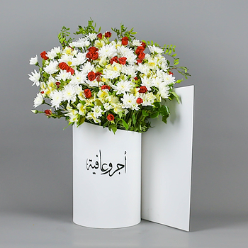 ستاند الملكة 6 