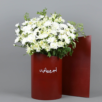 ستاند رائع
